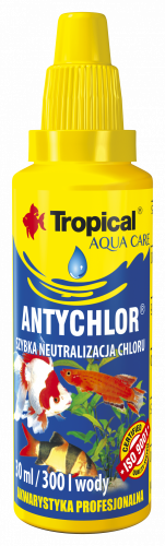 TROPICAL ANTYCHLOR