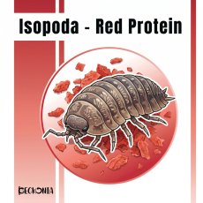 Geckonia Isopoda - Red Protein 15g