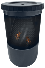 Repto Insect Buffet
