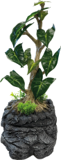 Repto Water Dripping Tree