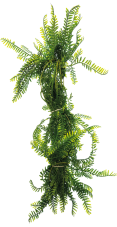 Repto Plant Vines Green Asparagus 60 cm