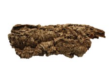 Dekorace přírodní - kůra korek Large Komodo