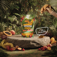 BioGecko Food Banana & Strawberry – 100g