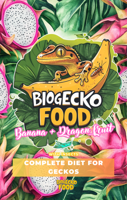 BioGecko Food Banana & Dragon Fruit – 100g