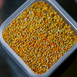 Bienenpollen und seine Verwendung in der Terraristik
