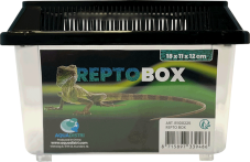 Repto Box 18 x 11 x 12 cm