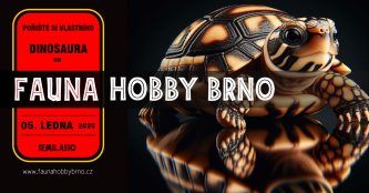 Fauna Hobby Brno 05. 01. 2024