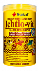 Tropical Ichtio-vit