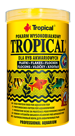 Tropical Tropical