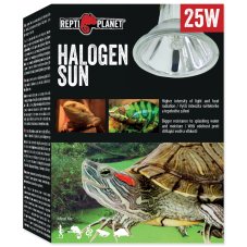 REPTI PLANET Halogen Sun