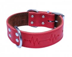 EKG collar made of oiled leather 40mm x 70cm