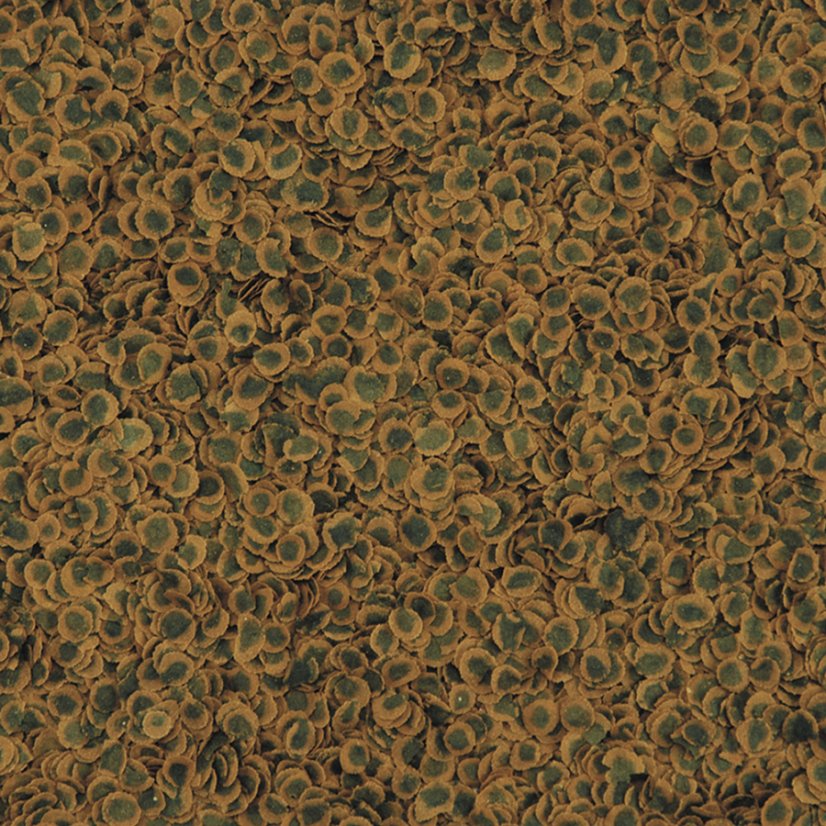 TetraPro Algae
