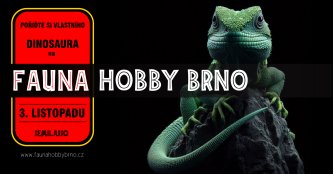 Fauna Hobby Brno 03. 11. 2024
