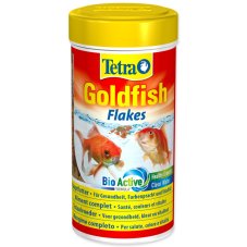 Tetra Goldfish