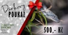 Darčekový poukaz v hodnote 500 Kč