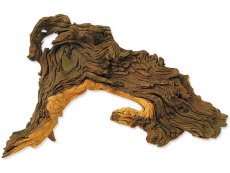 Mopani Wood XS