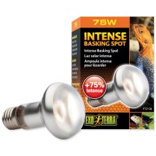EXO TERRA Intense Basking Spot 75W