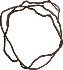 Repto Tree Vine 300 cm