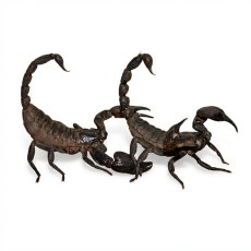 Heterometrus silenus (ex. H. petersii)