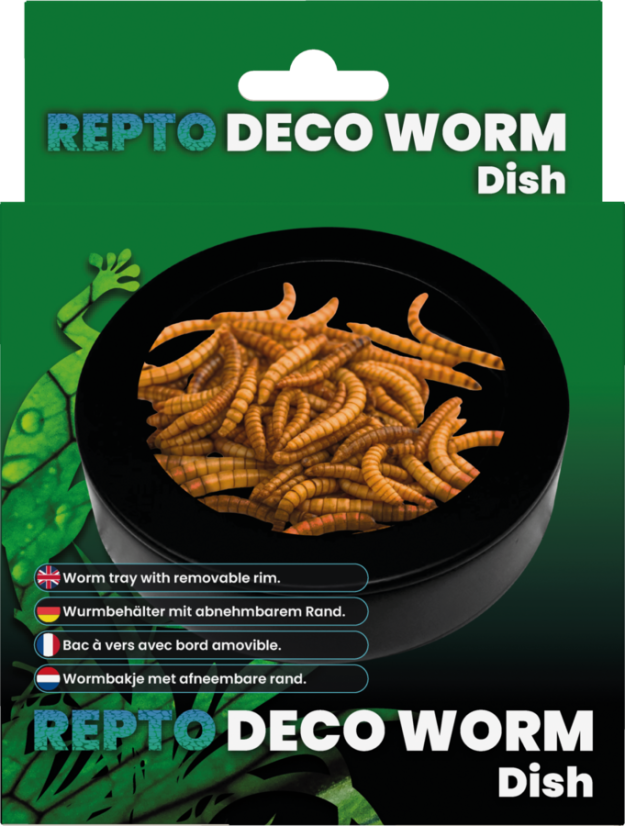 Repto Deco Worm Dish