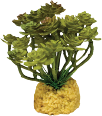 Repto Plant Cactus Tree