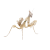 Idolomantis diabolica