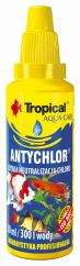 TROPICAL ANTYCHLOR