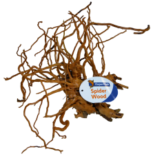 BioArt Spider Wood M 30 - 40 cm