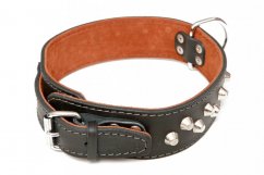 MOLOSS leather collar, decorated with cones 2 rows 50mm x 60cm