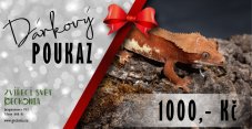 Darčekový poukaz v hodnote 1000 Kč