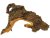 Mopani Wood S