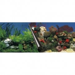 Pozadí akvarijní Stone+Coral Duvo+ 60 x 30 cm