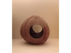 Kokosová skořápka celá s 1 otvorem