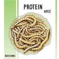 Geckonia Insektenprotein – Soldatenfliege
