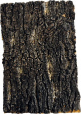 Repro Cork Plate 30 X 20 cm